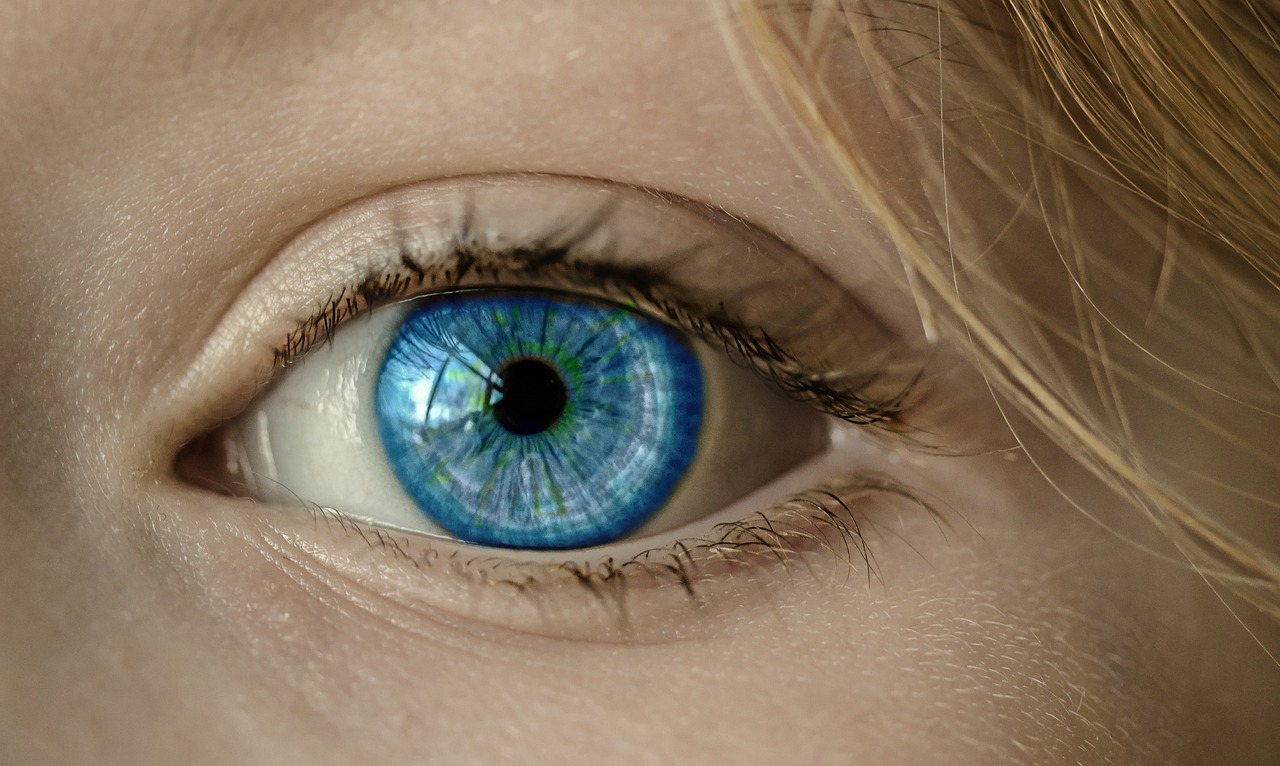 eye, blue eye, iris-1173863.jpg